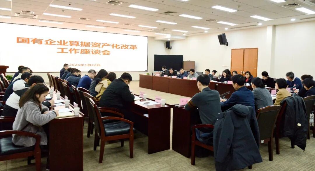 国企如何实现算据资产化?武汉市数据局邀请专家支招